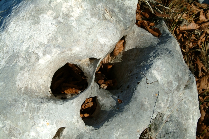 Sculture naturali